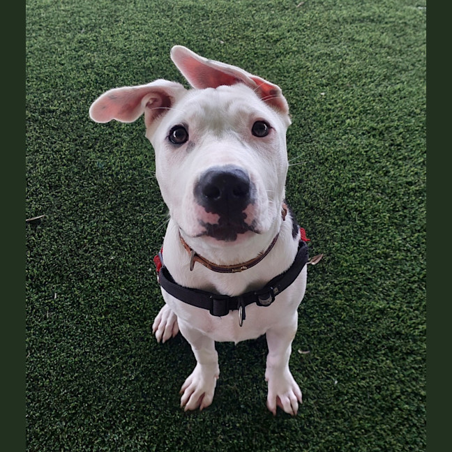 Photo of Molly