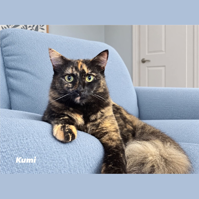 Photo of Kumi