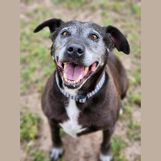 Photo of 🐻 Buster 6375 🐻