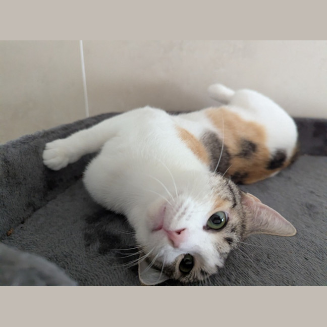 Photo of Minnie