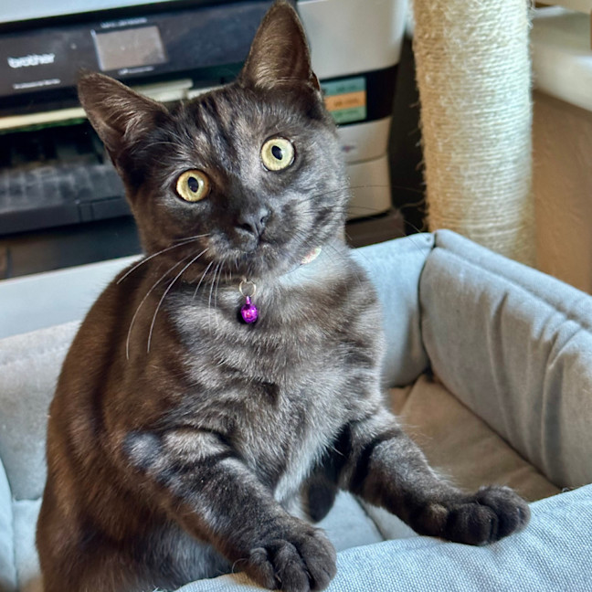 Photo of Lara