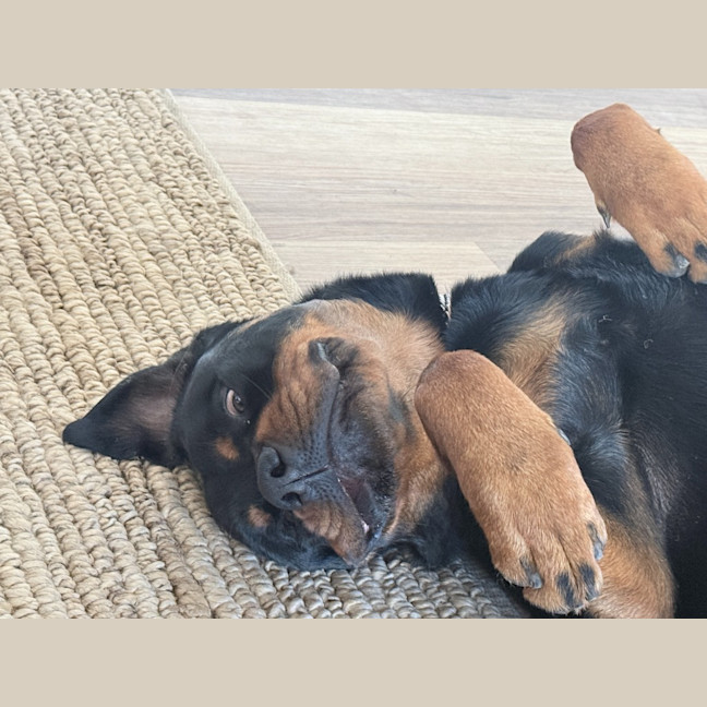Photo of Murphy