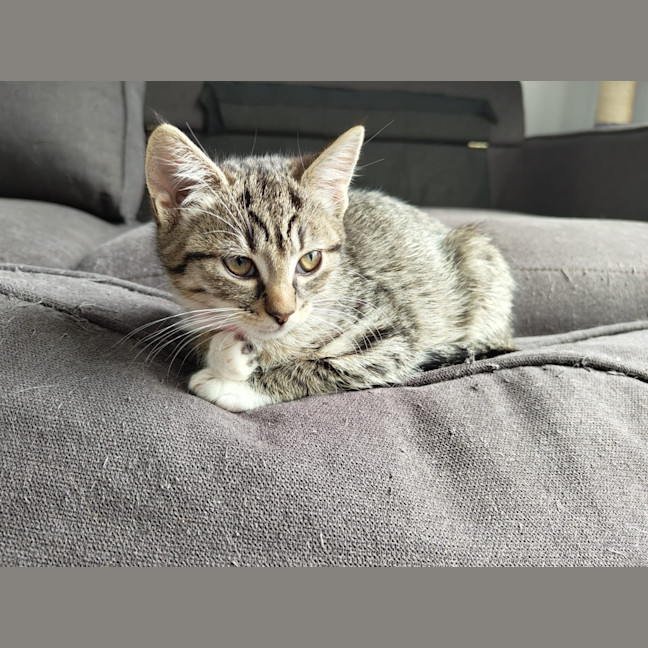 Photo of Lisa