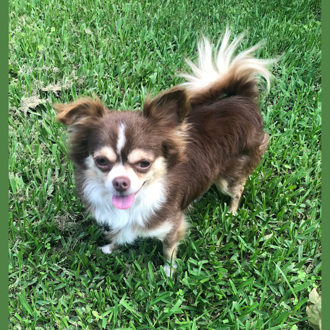 Photo of Bobbie