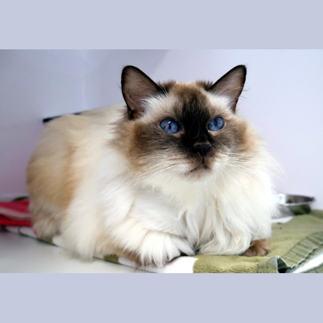 Photo of Chloe Sua012792