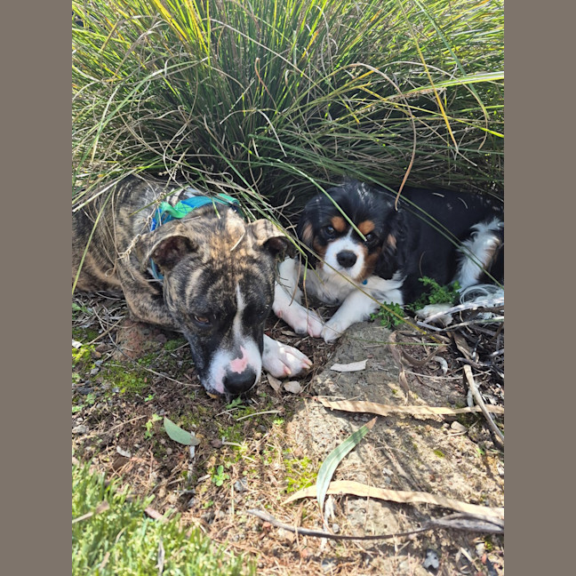 Photo of Cenric Riley