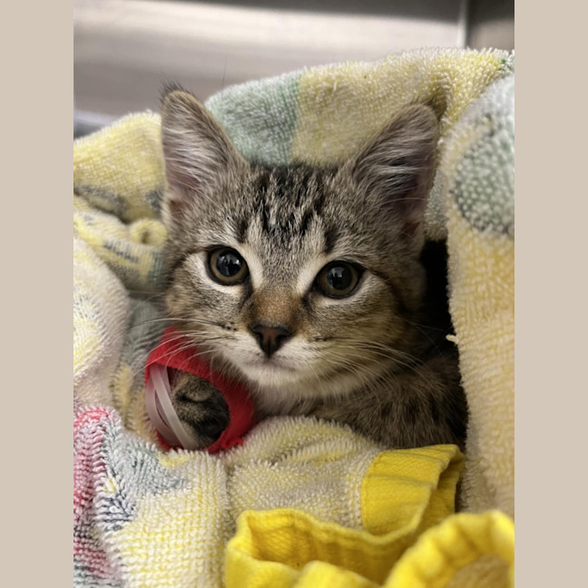 Photo of Margot   Located In Templestowe