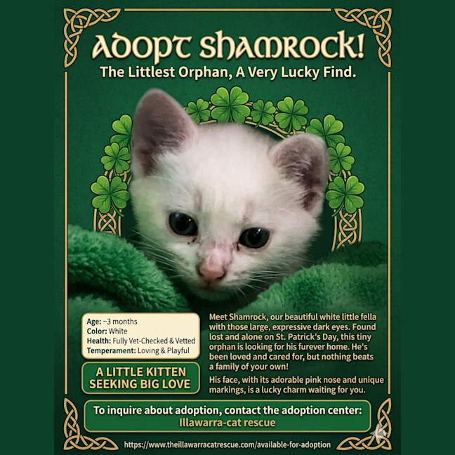 Photo of Shamrock