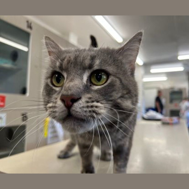 Photo of Stormy