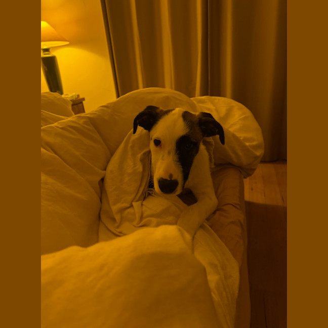 Photo of Isla