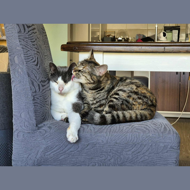 Photo of Stu / Sophie