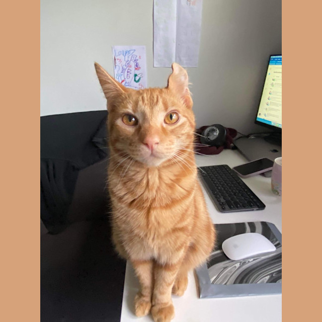 Photo of Ched & Ritz