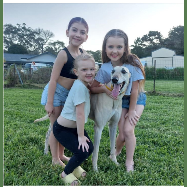 Photo of Mac 🐾💙.  Assisted Rehome