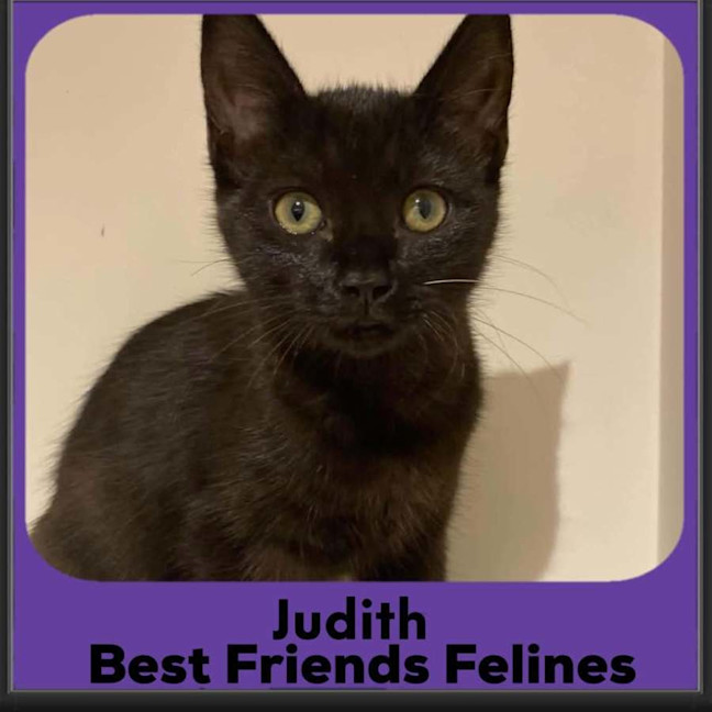 Photo of Judith 