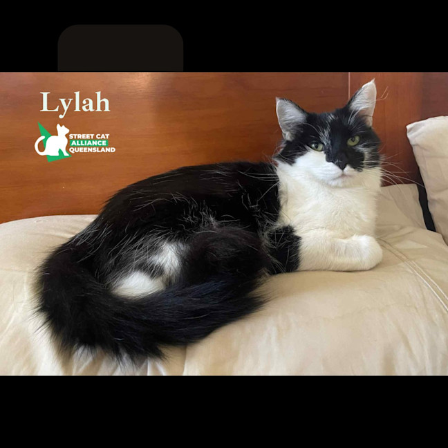 Photo of Lylah