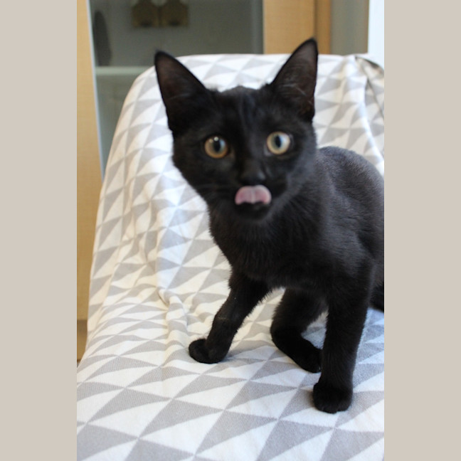 Photo of Dolce (Et Gabbana)