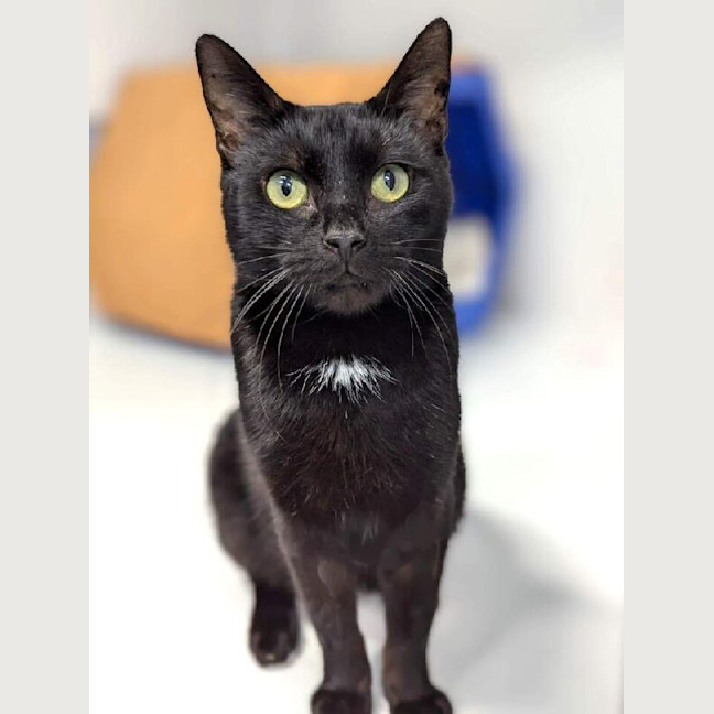 Photo of Taco