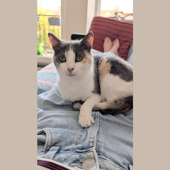 Photo of Mabel