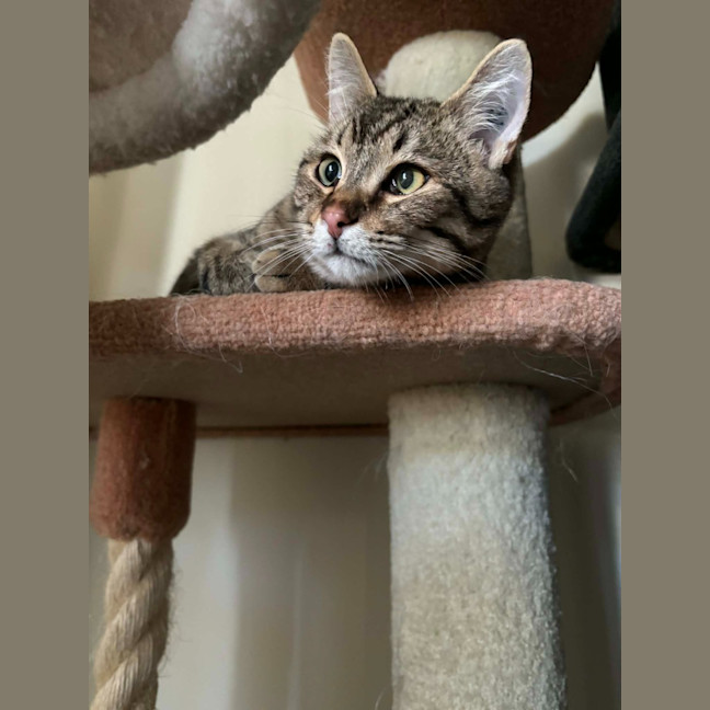 Photo of Wilder