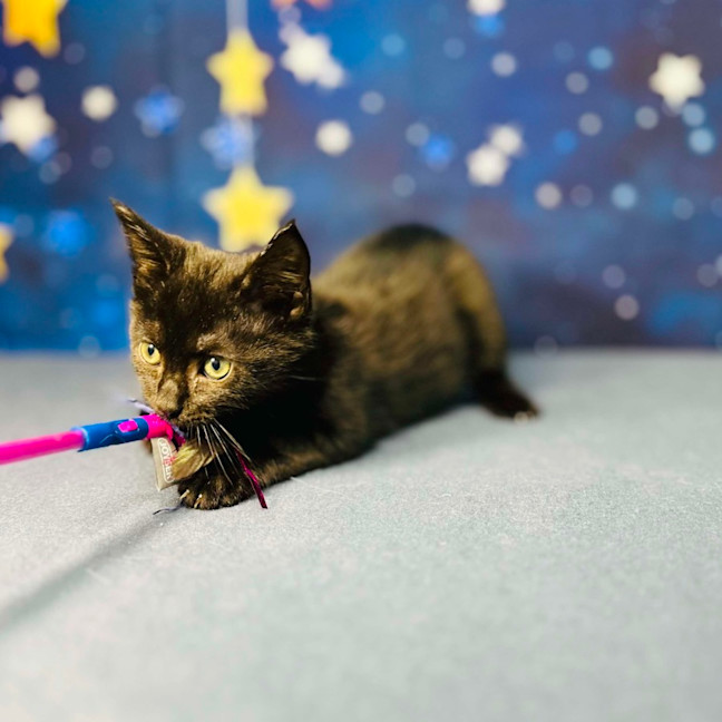 Photo of Barry   Located In Preston 