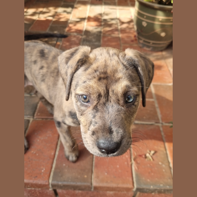 Photo of Freyja