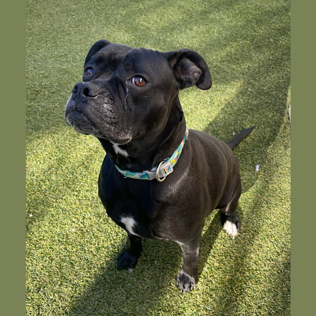 Photo of Xena