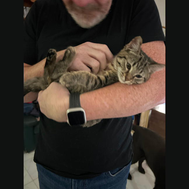 Photo of Tonks