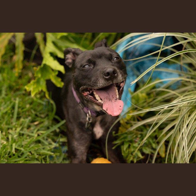 Photo of Beatrice Lozano