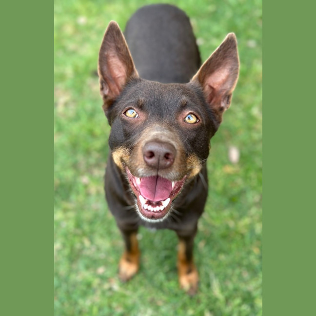 Photo of Billie Jean