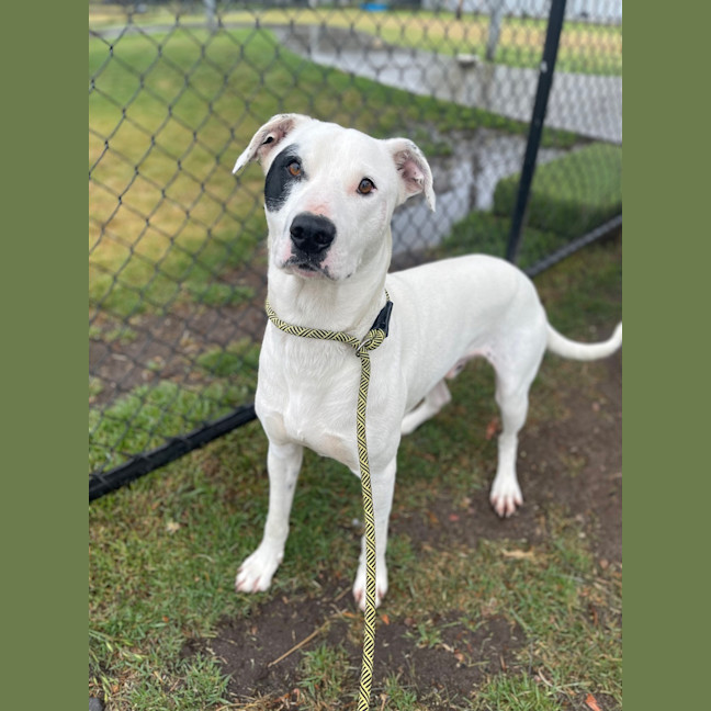 Photo of Maverick