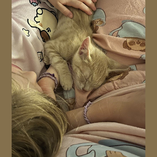 Photo of Kia & Xia