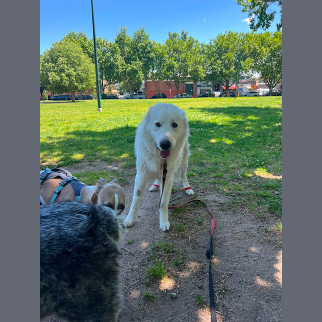 Photo of Lucy