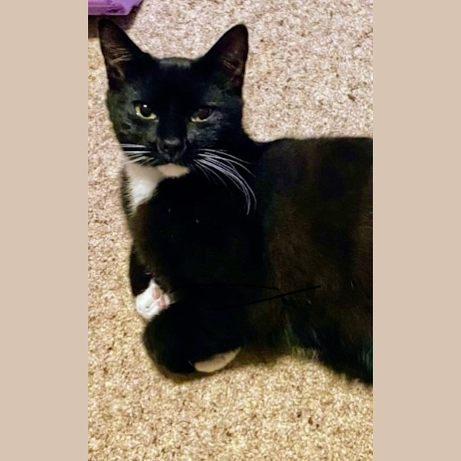 Photo of Boone