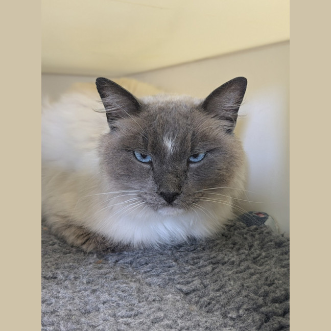 Photo of 🎇 Fiyero 5753 🎇