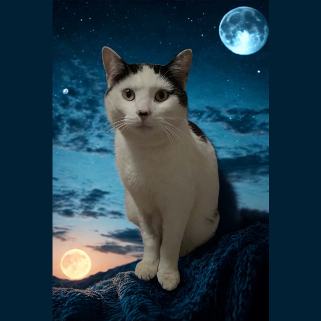 Photo of Lenny