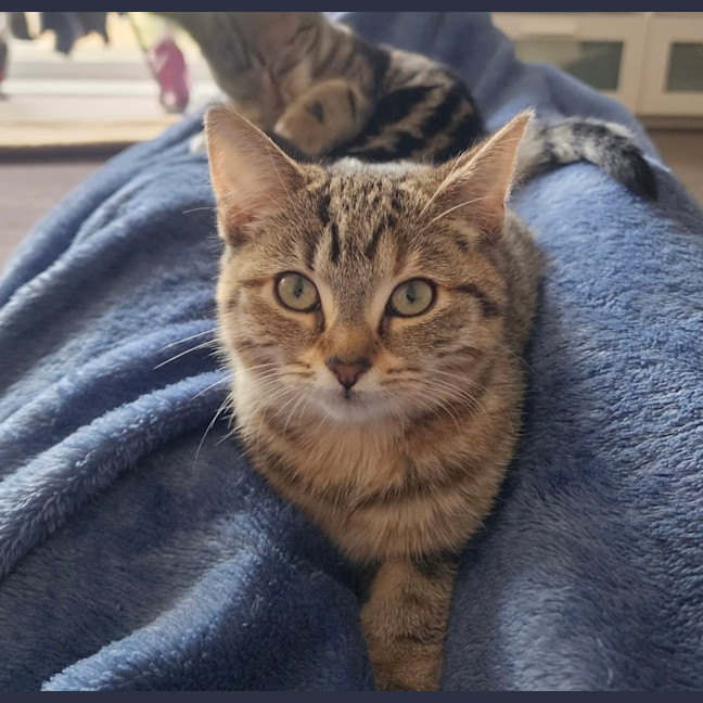 Photo of Emma