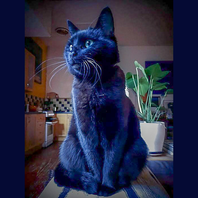 Photo of Winnie