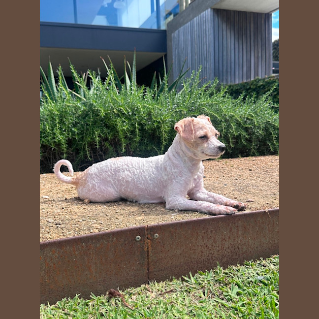Photo of Polly