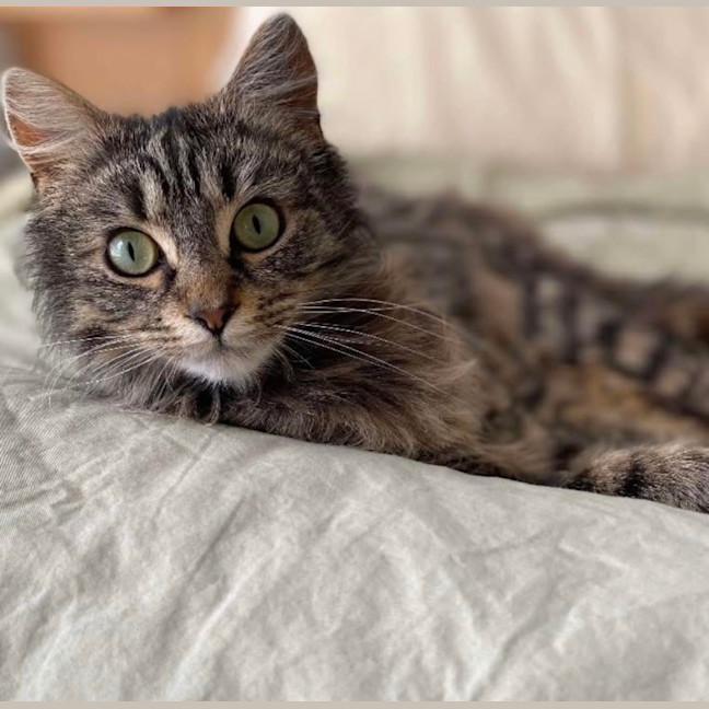 Photo of Blossom & Summer 