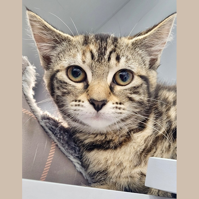 Photo of Agnes Addams