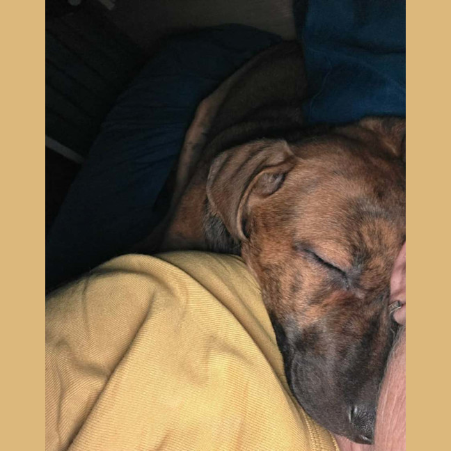 Photo of Butternut Snap