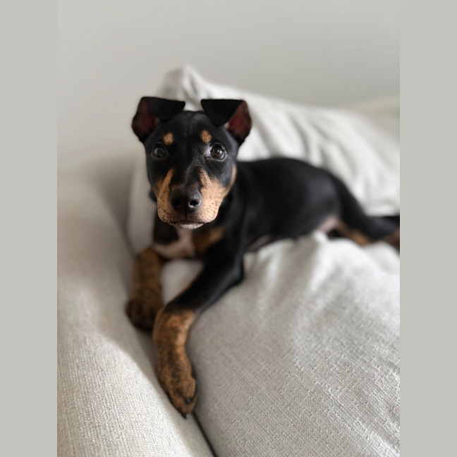 Photo of Cooper 🫶🏻