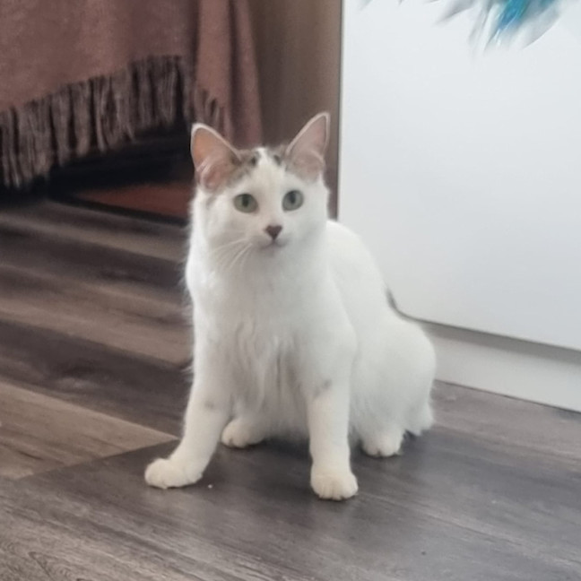 Photo of Lilly