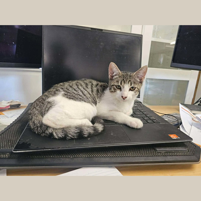 Photo of Vegemite (Located 50k North Of Melb Cbd)