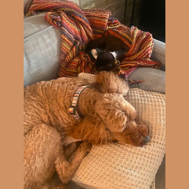 Photo of Maggie ‘Magpie’