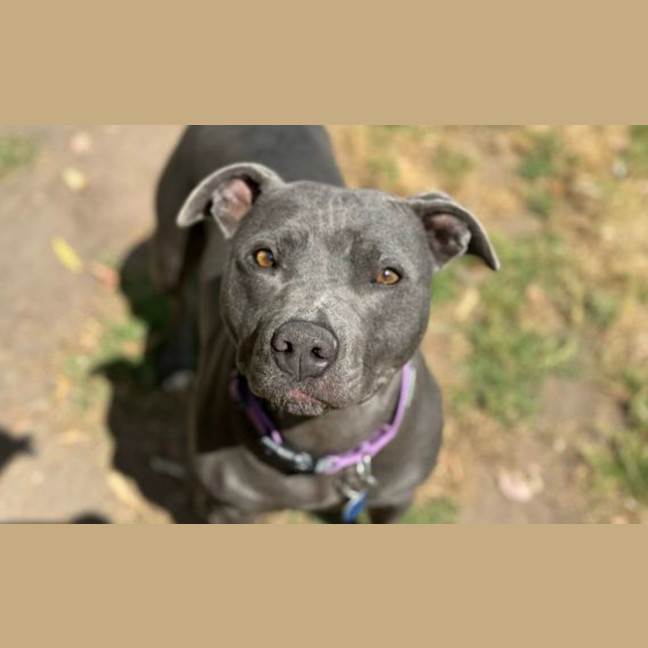 Photo of Annabee