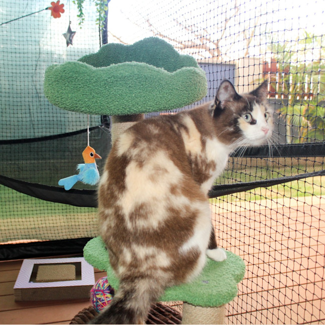 Photo of Miss Marbles