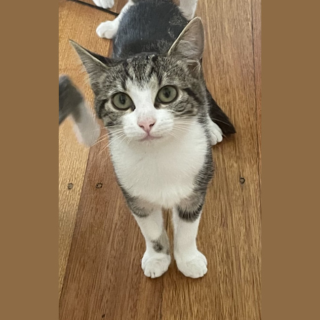 Photo of Francine