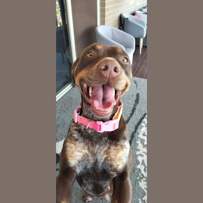 Photo of Delta