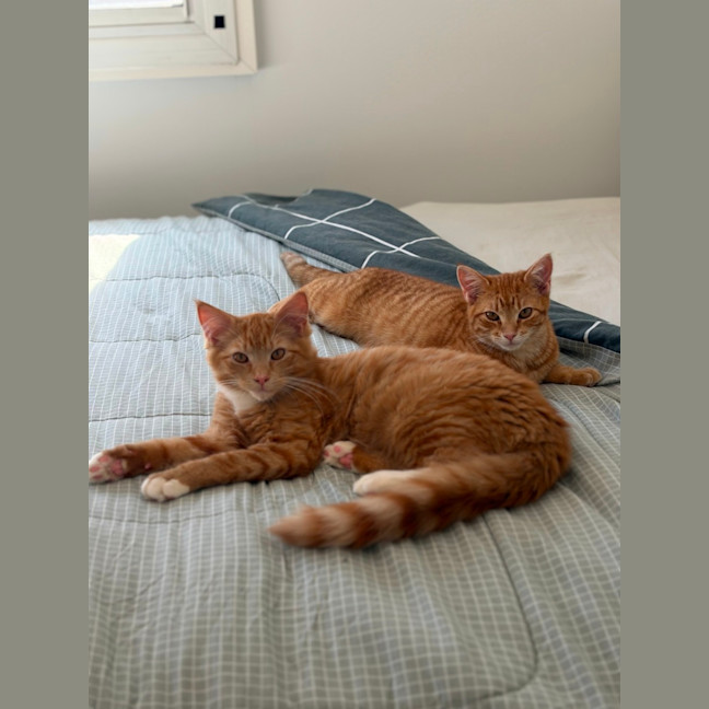 Photo of Flora And Sunny